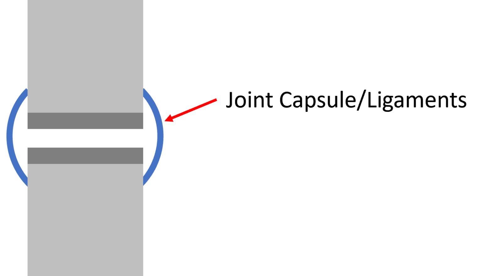 Joint Sounds And How Ligaments Respond To Orthobiologics Regenexx