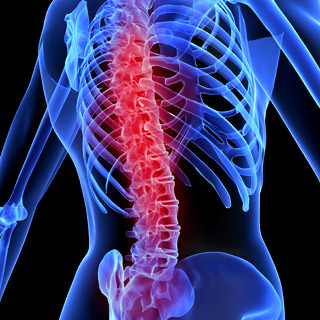 Spinal cord injury and adult stem cells (MSC’s)…