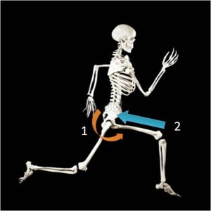 The Hip Bone is Connected to the Knee Bone: Patellofemoral Pain in Running