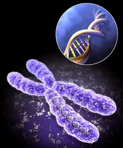 Analysis of Matched Regenexx-C Patients with Differing Durations of Long-term Relief