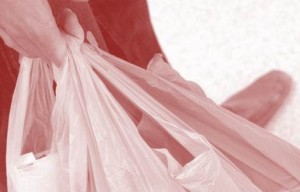 Shaker Kits and Stem Cells in a Grocery Bag