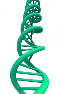 Stem Cells Cure Man’s HIV: Implications for Using Someone Else’s Stem cells