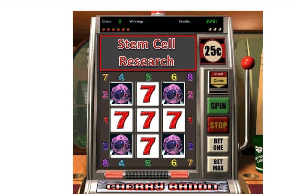 stem cell research slot machine
