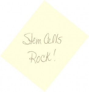 stem cells rock