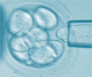 Breaking-Embryonic Stem Cells produce Imposter Differentiated Cells