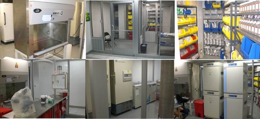 Cayman’s Regenexx-C Lab Nearing Completion