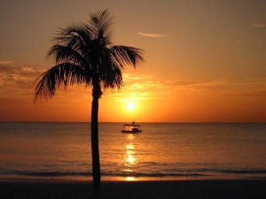 Regenexx Caymans site Treats several more Professional Athletes and a Hollywood Star