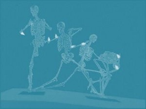 The Hip Bone’s Connected to the Shoulder Bone…