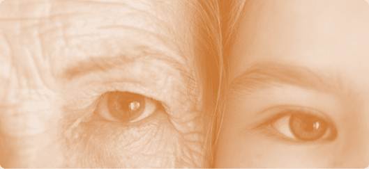 Is using someone else’s Young Stem Cells better than using your own Old Stem Cells?