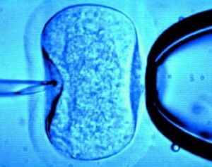 Happy Birthday IVF-We Never would have had our Kids had you been Born Today!