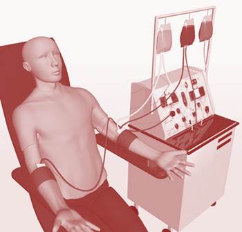 Apheresis has more stem cells than bone marrow?