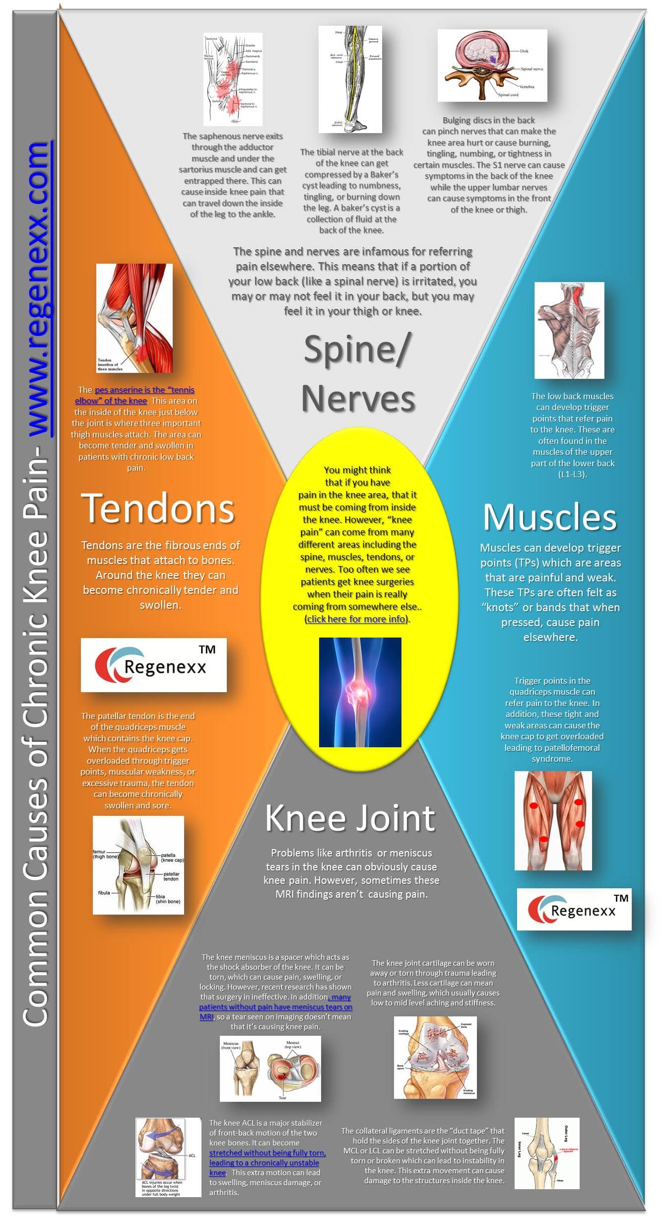 common causes of chronic knee pain