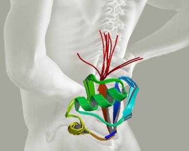 Are Your Deteriorating Discs caused by Bad Genes?