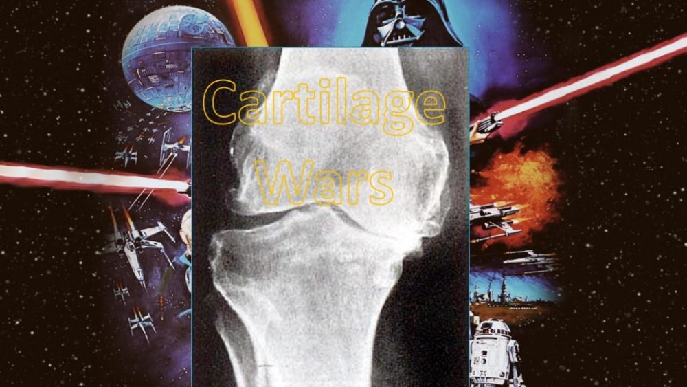 Knee Arthritis: The Exercise and Cartilage Wars Begin…