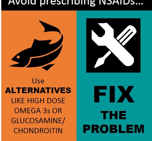 An Alternate Way to Deal with Dangerous NSAID Side Effects