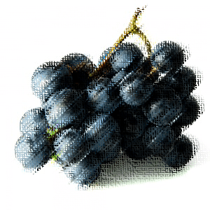 Quercetin Boosts Testosterone… and May Help Your Arthritis!