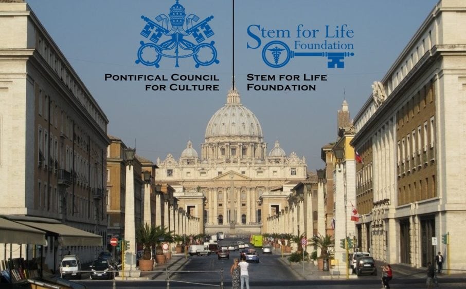 Blogging from the Vatican Stem Cell Conference…