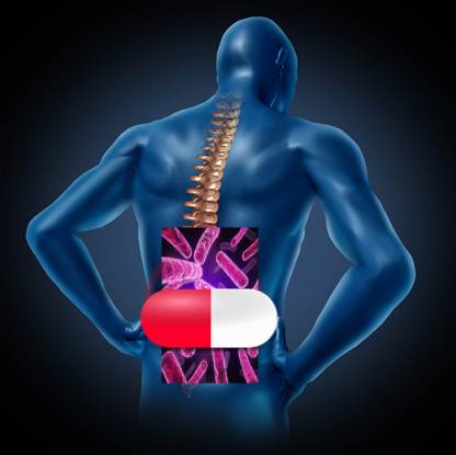 Low Back Pain Infection? More Evidence that Common Low Back Pain in Some Patients May be Caused by Bacteria