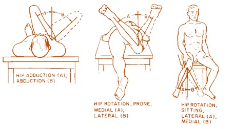 Knee ACL Injury Prevention: The Hip and Trunk Bones are Connected to the ACL. Who knew?