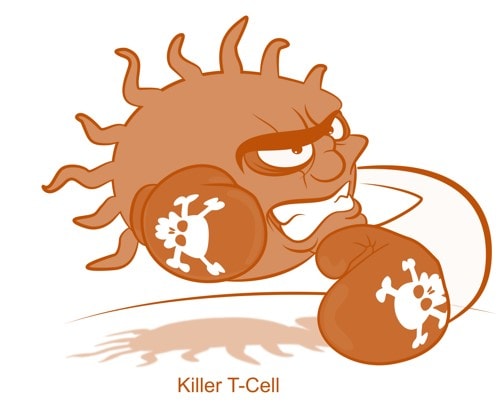 More Issues Mount with Stem Cell Drugs: Another Paper Showing Someone Else’s Stem Cells Activate Your Immune System in a Bad Way
