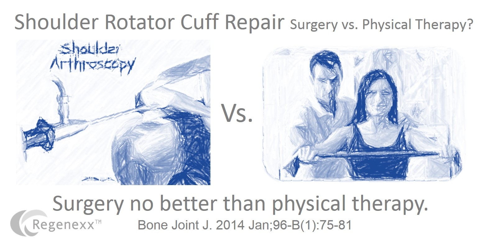 rotator cuff repair healing 