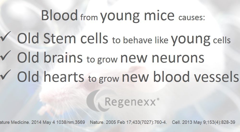 Stem Cell Aging: Young Blood Makes Old Mice Young Again