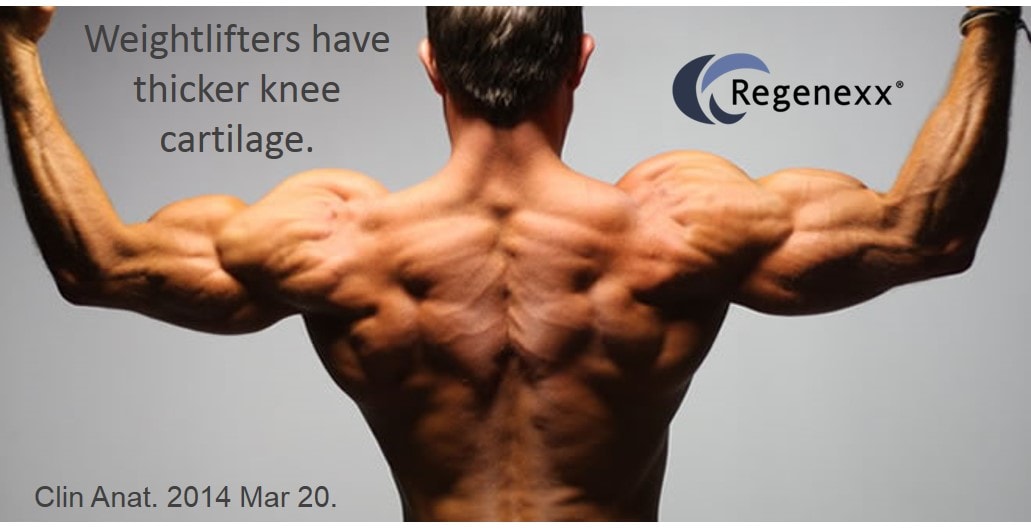 improve knee cartilage health