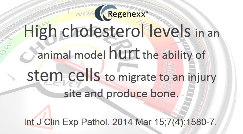Improve Stem Cells: Is Your High Cholesterol Hurting Your Stem Cells?