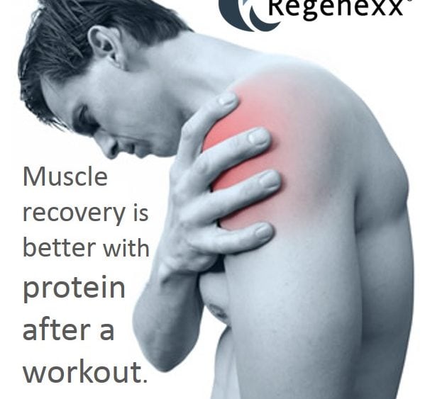 New Muscle Recovery Research: Protein Drinks May Help