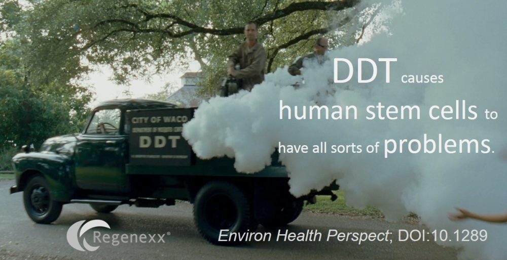 DDT Linked to Dramatically Bad Effects on Stem cells