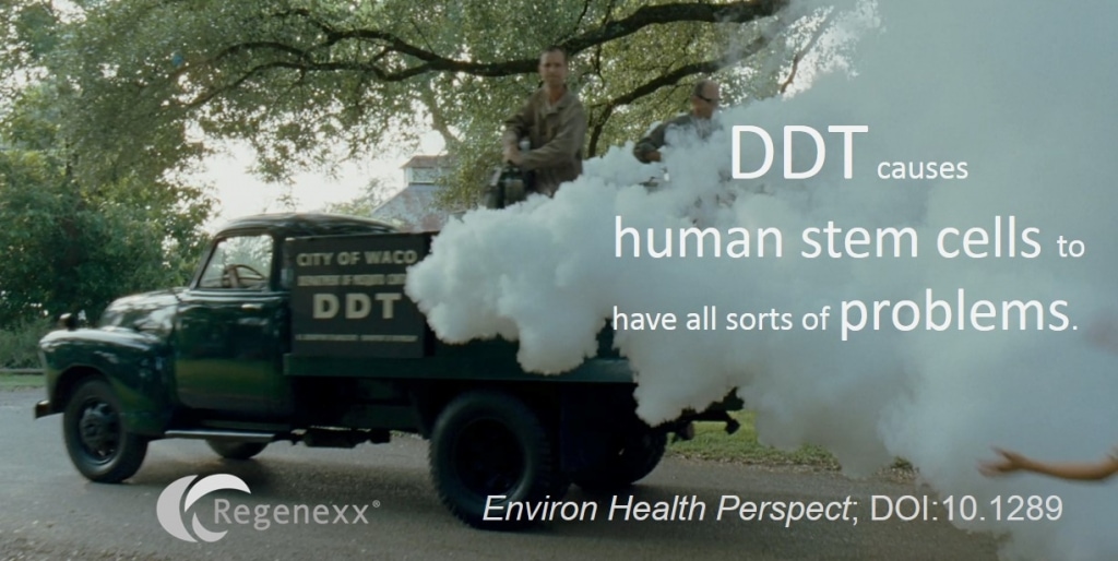 DDT effects stem cells 