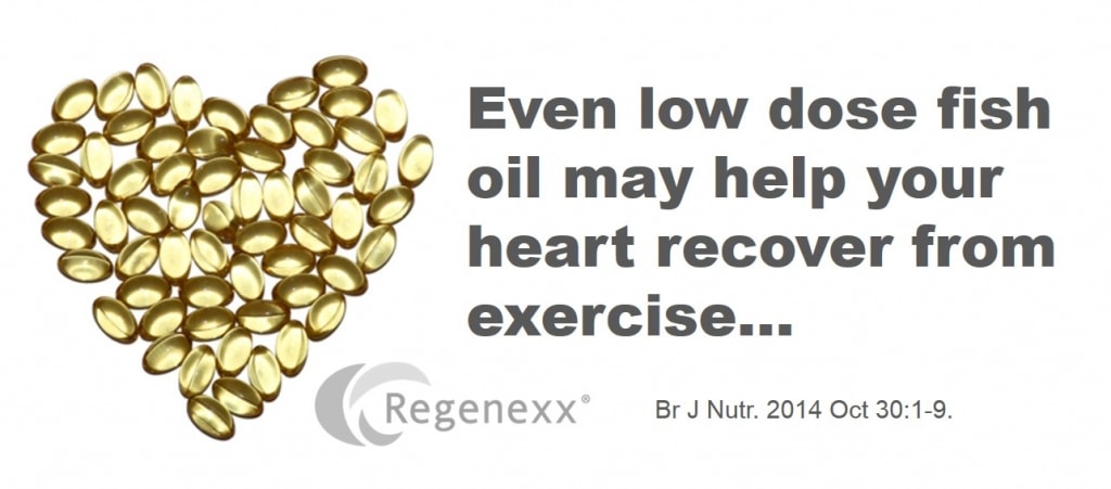fish oil and exercise