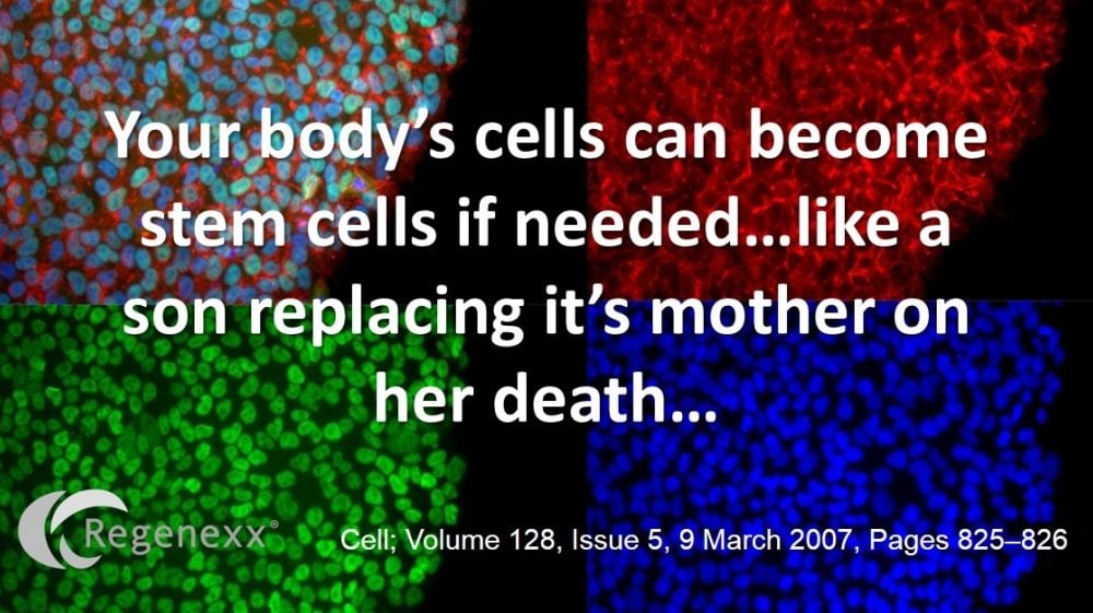 If Your Were a Stem Cell You Could Replace Your Mother…