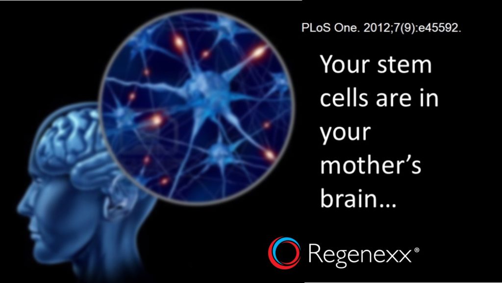 your stem cells are in your mother's brain