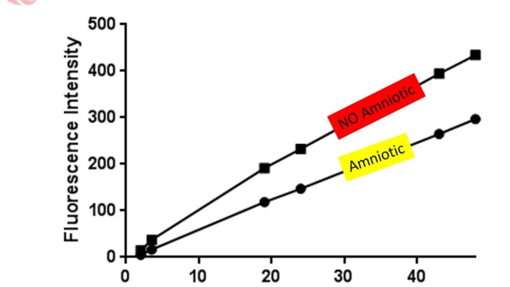 More on “Amniotic Stem Cells”: Does This Stuff Help Real Stem Cells?