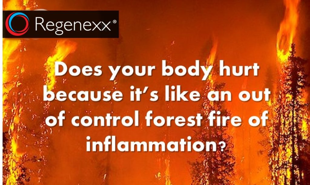 understanding inflammation