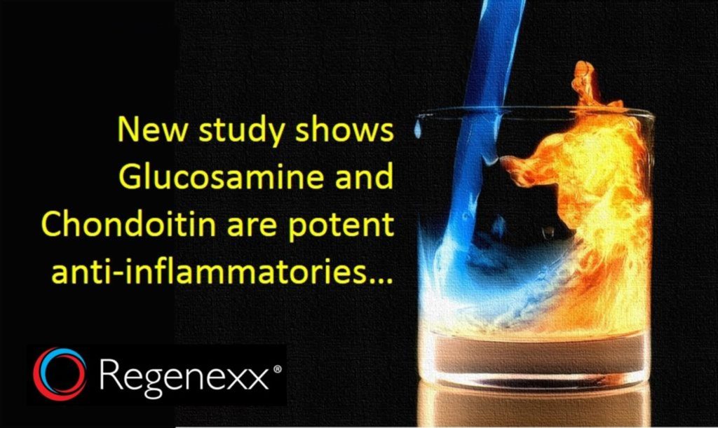 Glucosamine/Chondroitin Antiinflammatory Properties Regenexx©