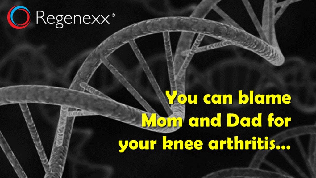 knee arthritis genes