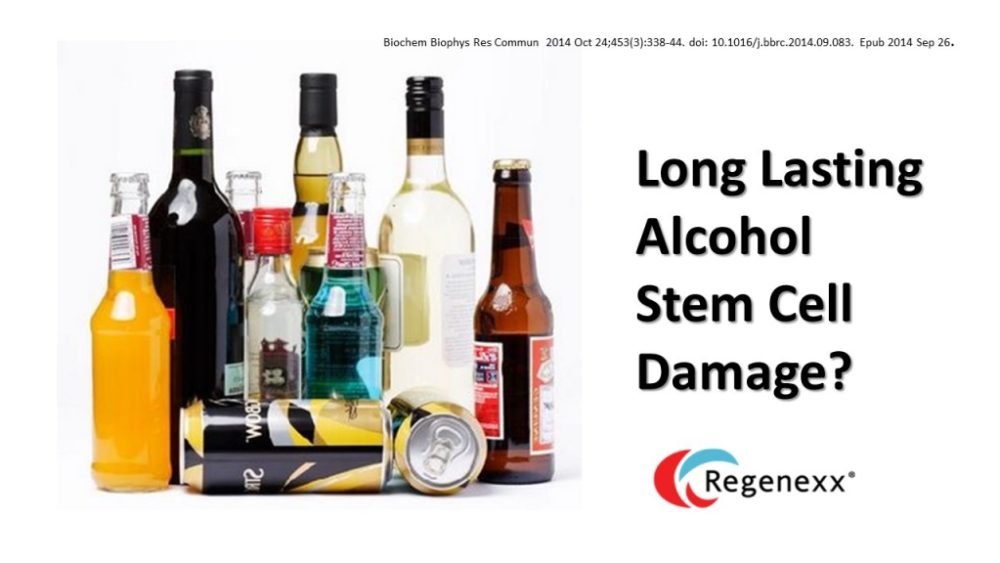 Heavy Drinkers Destroy Stem Cells for Life?