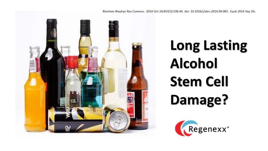 alcohol stem cell damage