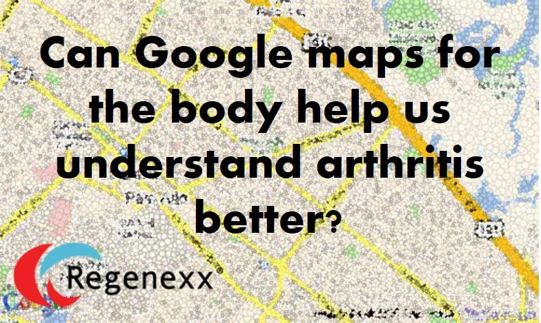 Google maps for the body