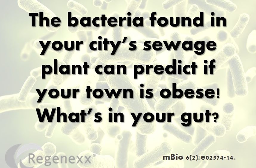 Bacteria Found in Sewage Predicts Obesity in Cities?