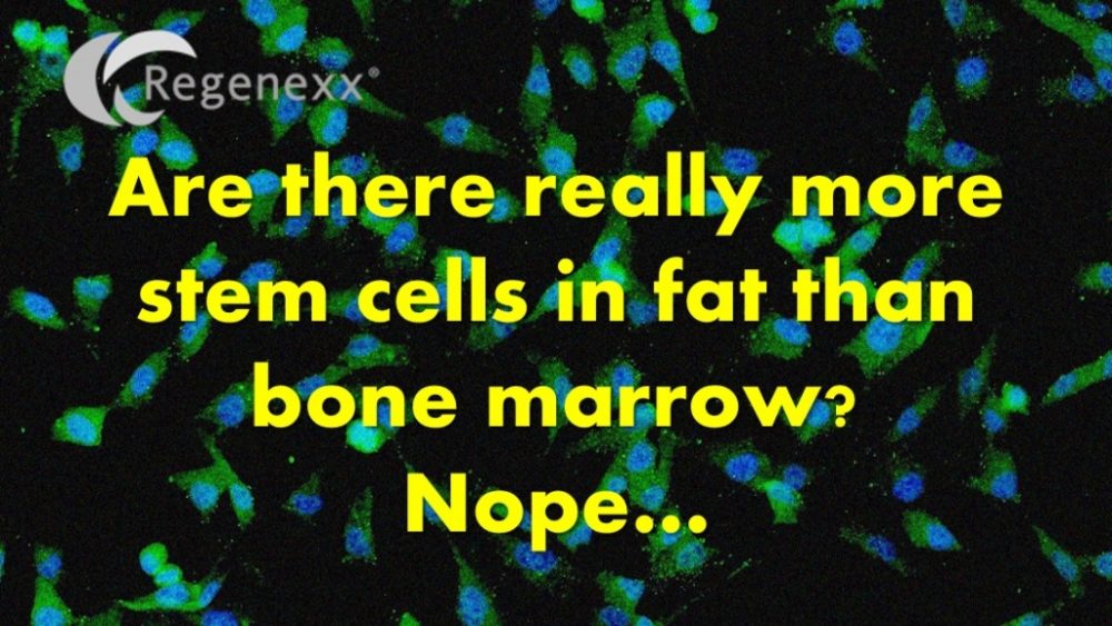 The Fat Stem Cell Count Mirage…