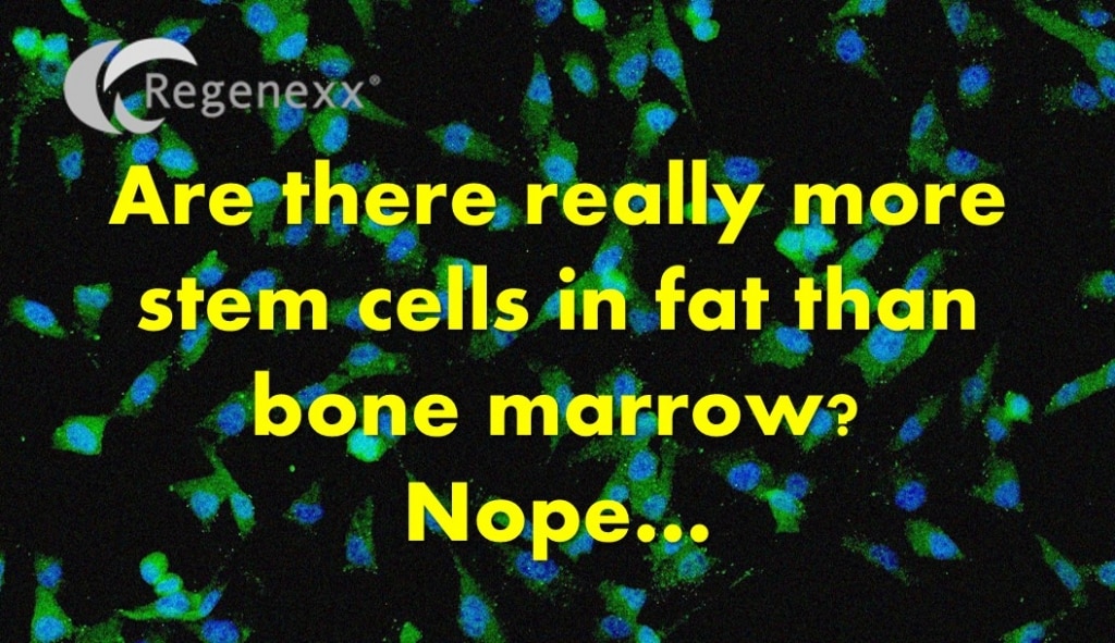 bone marrow vs fat stem cells