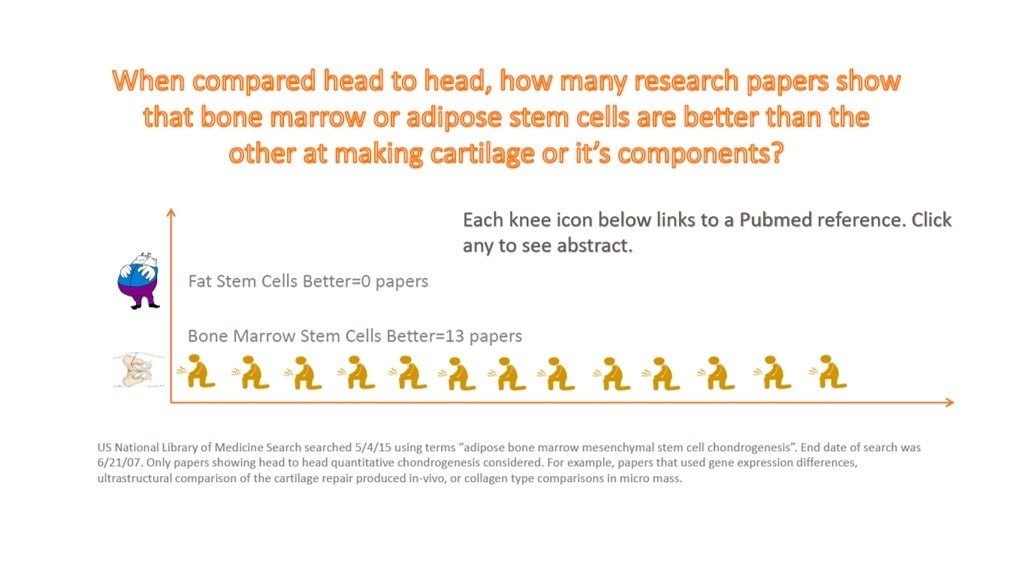 fat vs bone marrow stem cells
