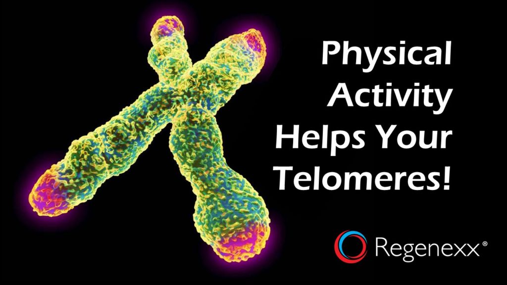 physical activity helpsyour telomeres