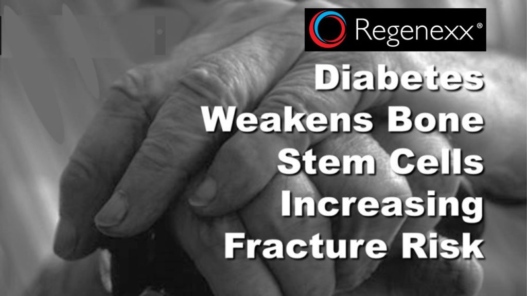 diabetes weakens bone stem cells