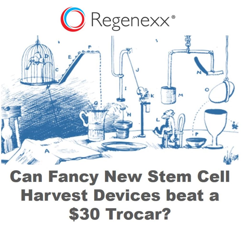 harvest bone marrow stem cells