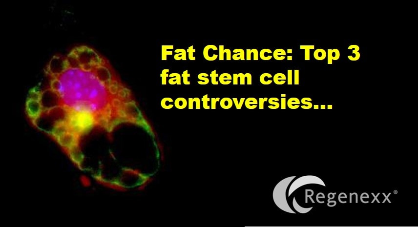 Fat Chance: Top 3 Stem Cell “Controversies”