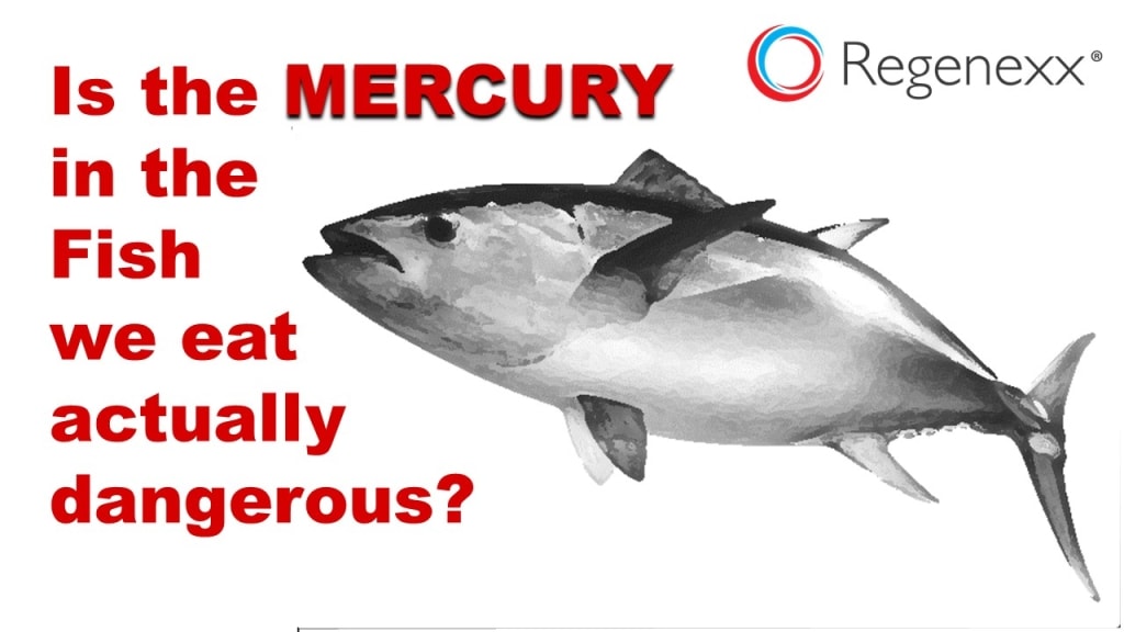 fish-mercury